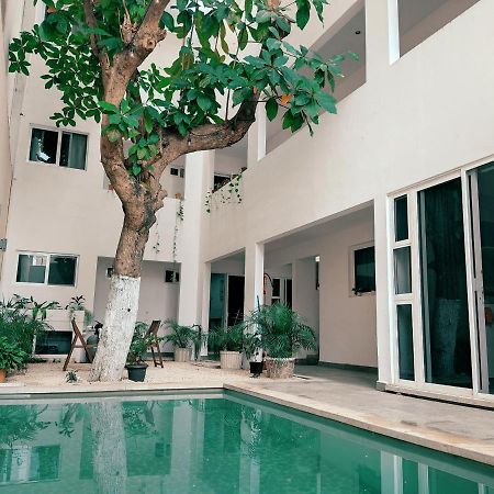 Cozy Studios Zazil-Ha Playa del Carmen Exterior photo