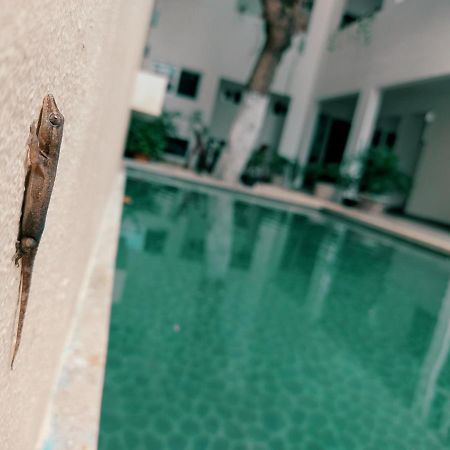 Cozy Studios Zazil-Ha Playa del Carmen Exterior photo