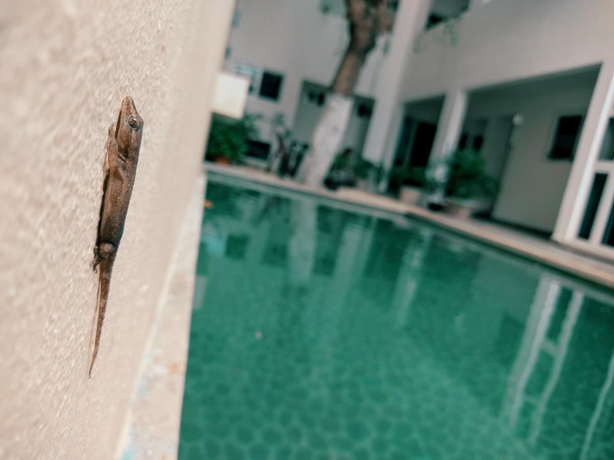 Cozy Studios Zazil-Ha Playa del Carmen Exterior photo