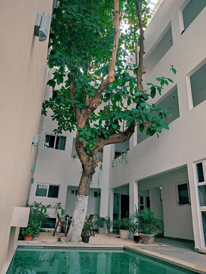 Cozy Studios Zazil-Ha Playa del Carmen Exterior photo