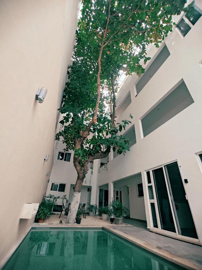 Cozy Studios Zazil-Ha Playa del Carmen Exterior photo